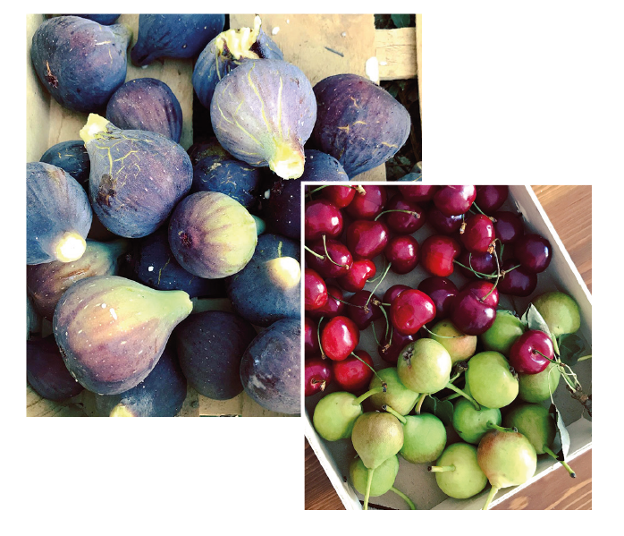 Fruita ecològica